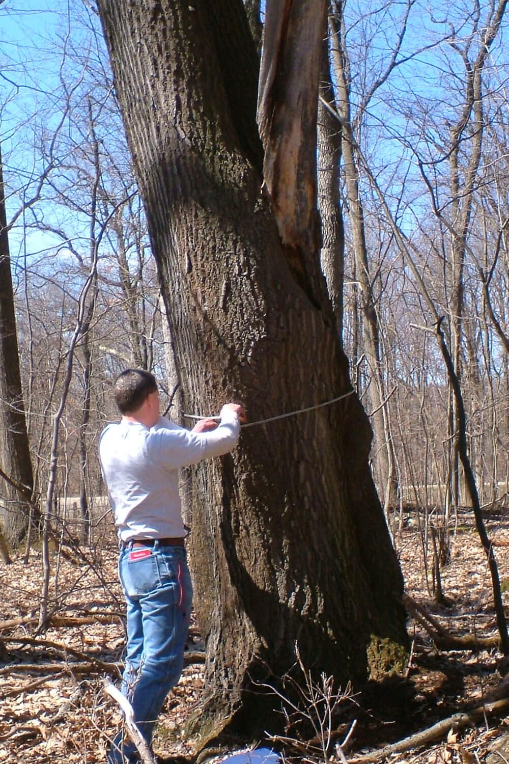 Maintenance Institute Vision 1